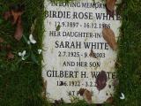 image number White Birdie Rose 374